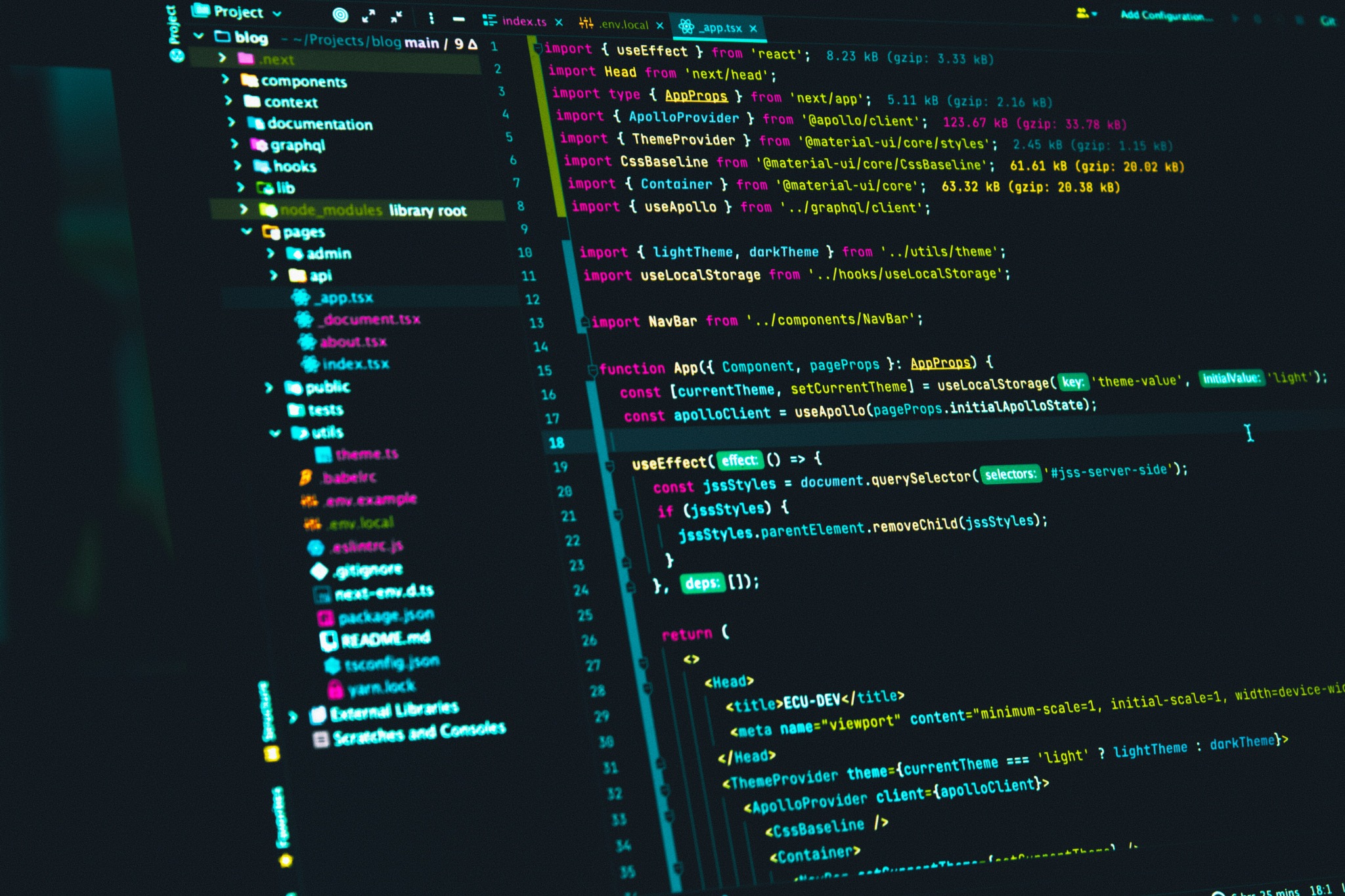 WebDevSolution project enquiry and development consultation